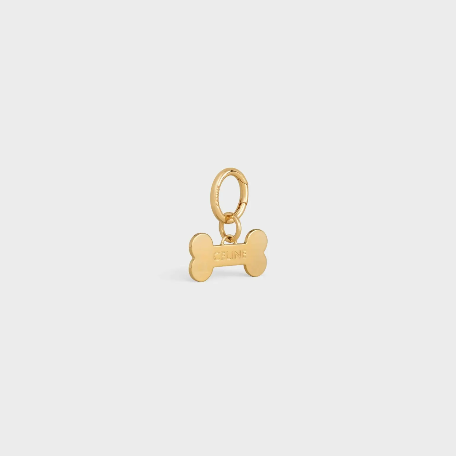 Bone dog medal in brass